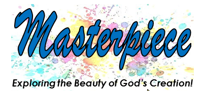 VBS 2019 Image